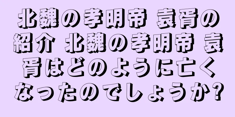 北魏の孝明帝 袁胥の紹介 北魏の孝明帝 袁胥はどのように亡くなったのでしょうか?