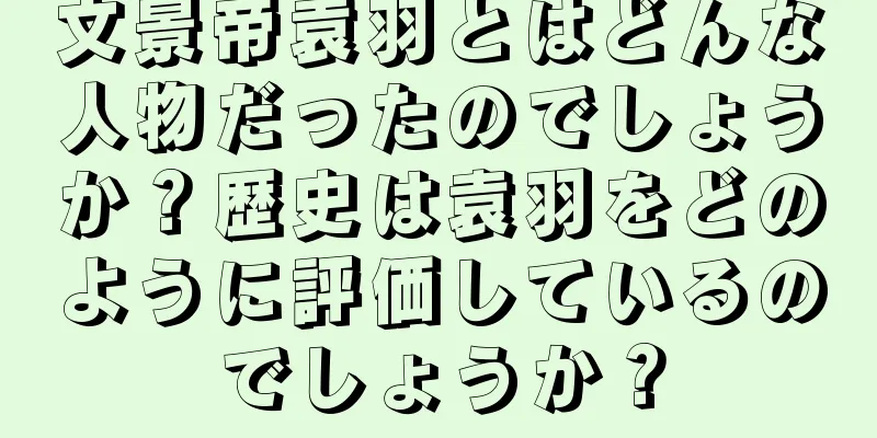 文景帝袁羽とはどんな人物だったのでしょうか？歴史は袁羽をどのように評価しているのでしょうか？