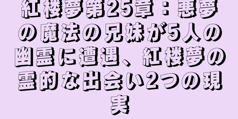 紅楼夢第25章：悪夢の魔法の兄妹が5人の幽霊に遭遇、紅楼夢の霊的な出会い2つの現実