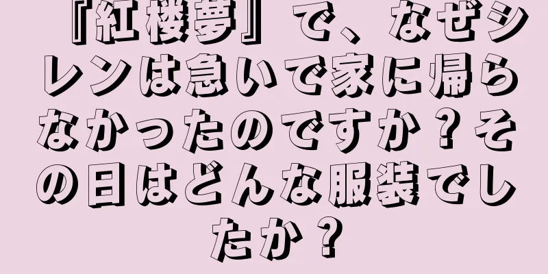 『紅楼夢』で、なぜシレンは急いで家に帰らなかったのですか？その日はどんな服装でしたか？