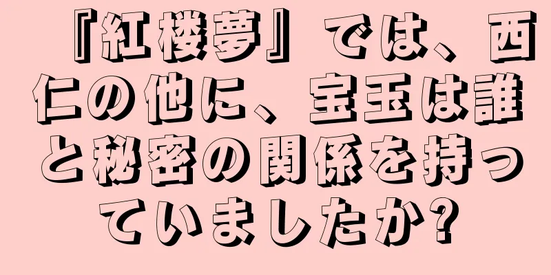 『紅楼夢』では、西仁の他に、宝玉は誰と秘密の関係を持っていましたか?