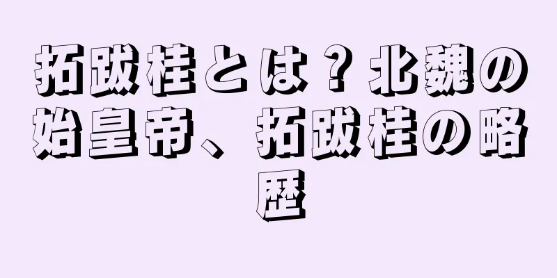 拓跋桂とは？北魏の始皇帝、拓跋桂の略歴
