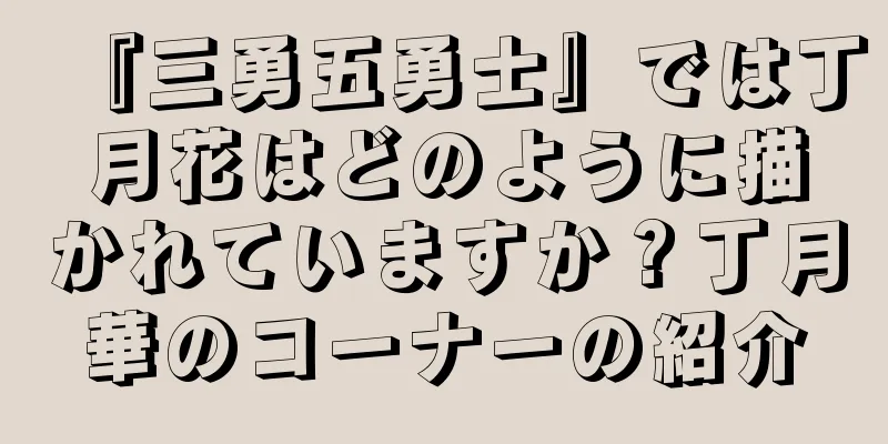 『三勇五勇士』では丁月花はどのように描かれていますか？丁月華のコーナーの紹介