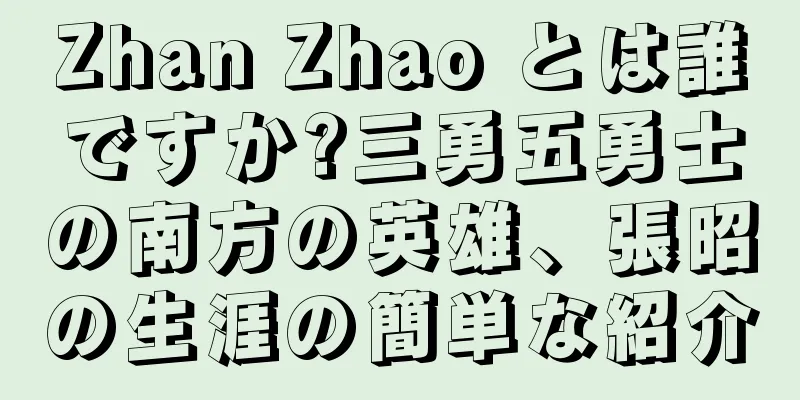 Zhan Zhao とは誰ですか?三勇五勇士の南方の英雄、張昭の生涯の簡単な紹介