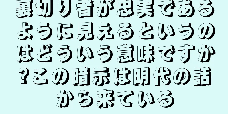 裏切り者が忠実であるように見えるというのはどういう意味ですか?この暗示は明代の話から来ている