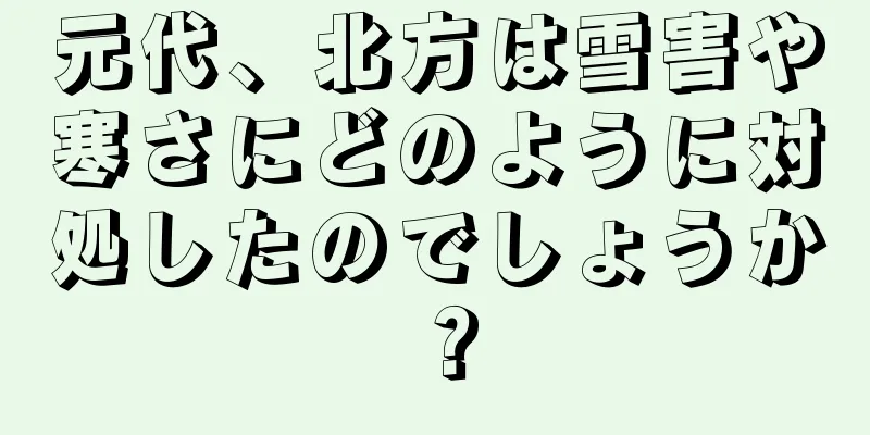 元代、北方は雪害や寒さにどのように対処したのでしょうか？