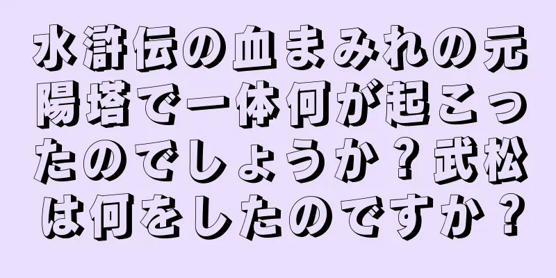 水滸伝の血まみれの元陽塔で一体何が起こったのでしょうか？武松は何をしたのですか？