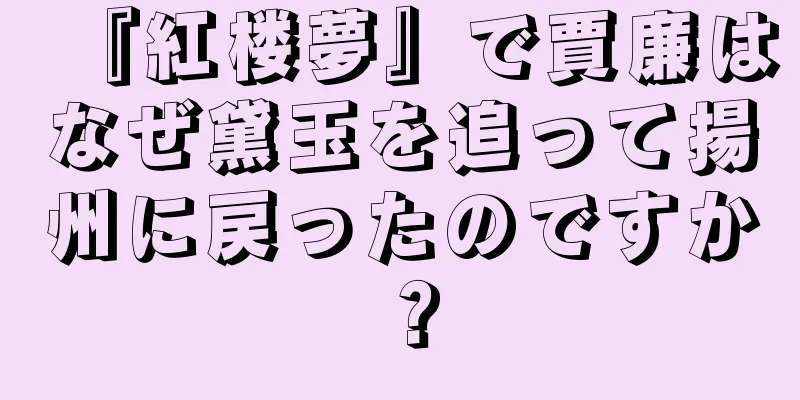 『紅楼夢』で賈廉はなぜ黛玉を追って揚州に戻ったのですか？