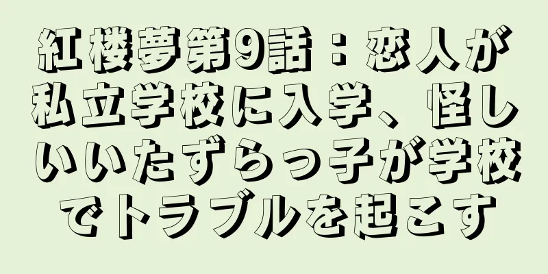 紅楼夢第9話：恋人が私立学校に入学、怪しいいたずらっ子が学校でトラブルを起こす