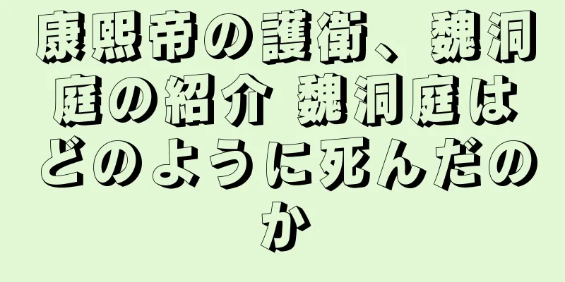 康熙帝の護衛、魏洞庭の紹介 魏洞庭はどのように死んだのか