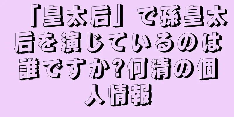 「皇太后」で孫皇太后を演じているのは誰ですか?何清の個人情報