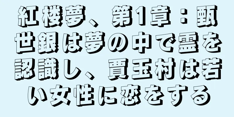 紅楼夢、第1章：甄世銀は夢の中で霊を認識し、賈玉村は若い女性に恋をする