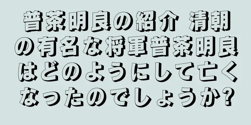 普茶明良の紹介 清朝の有名な将軍普茶明良はどのようにして亡くなったのでしょうか?