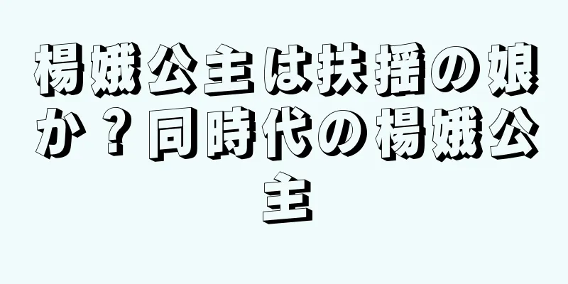 楊娥公主は扶揺の娘か？同時代の楊娥公主