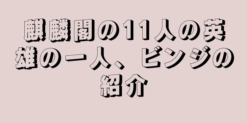 麒麟閣の11人の英雄の一人、ビンジの紹介