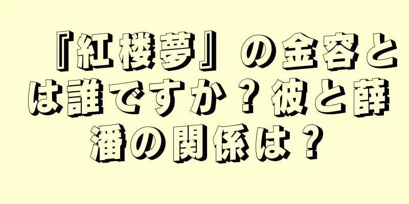 『紅楼夢』の金容とは誰ですか？彼と薛潘の関係は？