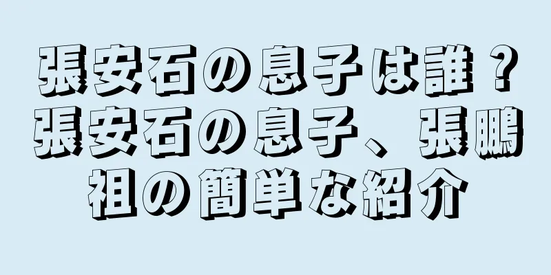 張安石の息子は誰？張安石の息子、張鵬祖の簡単な紹介