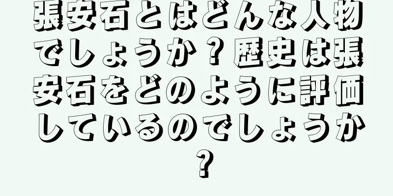 張安石とはどんな人物でしょうか？歴史は張安石をどのように評価しているのでしょうか？