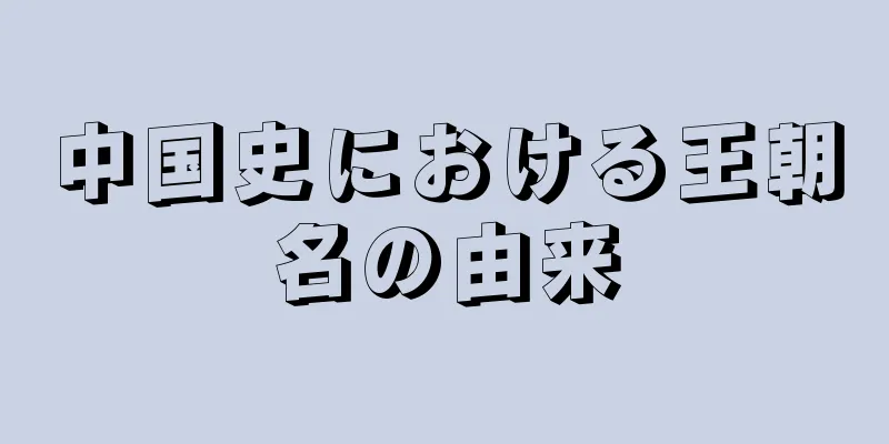 中国史における王朝名の由来