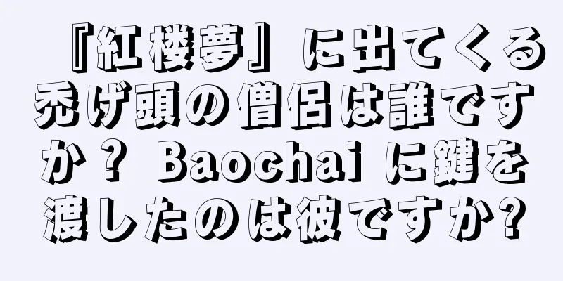 『紅楼夢』に出てくる禿げ頭の僧侶は誰ですか？ Baochai に鍵を渡したのは彼ですか?