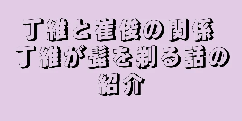 丁維と崔俊の関係 丁維が髭を剃る話の紹介