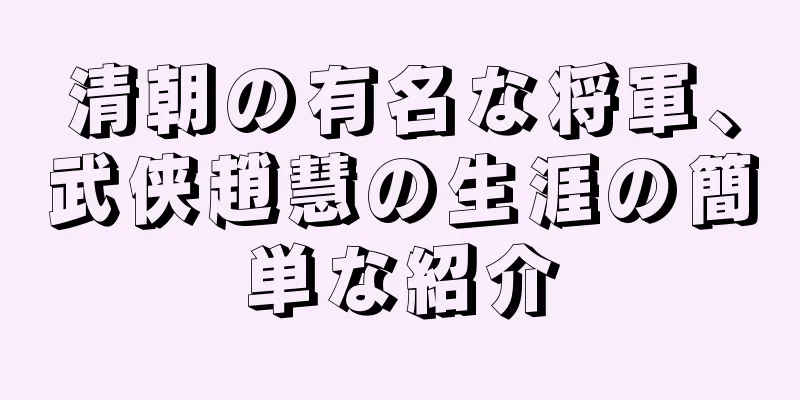 清朝の有名な将軍、武侠趙慧の生涯の簡単な紹介