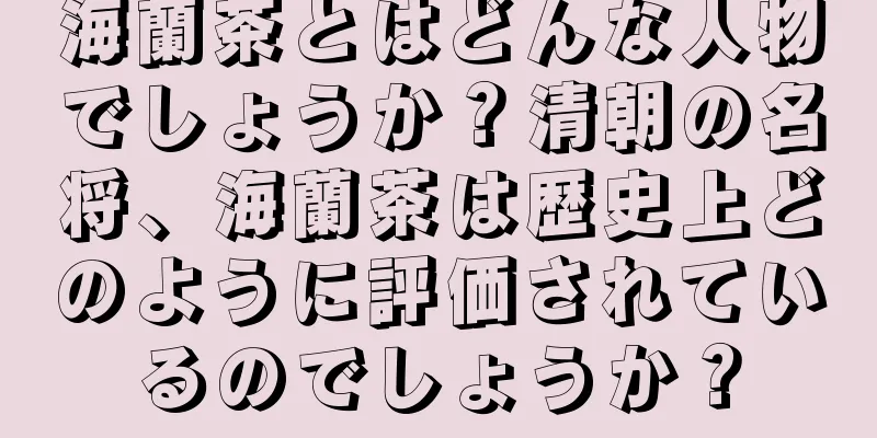 海蘭茶とはどんな人物でしょうか？清朝の名将、海蘭茶は歴史上どのように評価されているのでしょうか？