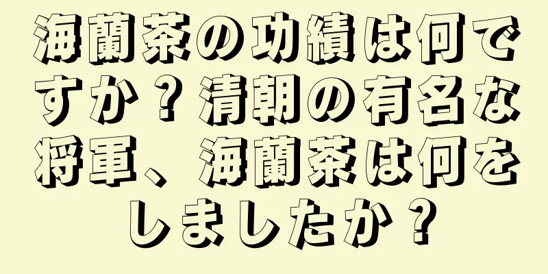 海蘭茶の功績は何ですか？清朝の有名な将軍、海蘭茶は何をしましたか？
