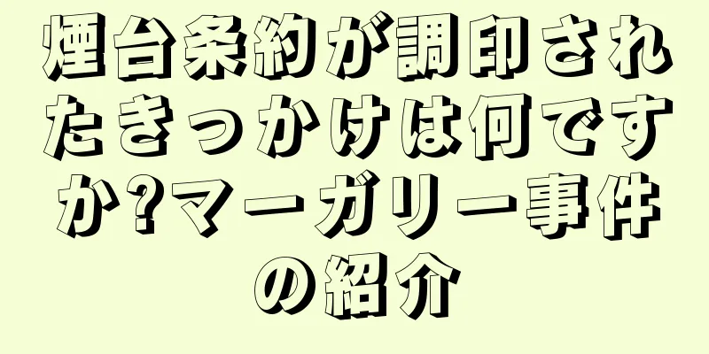 煙台条約が調印されたきっかけは何ですか?マーガリー事件の紹介