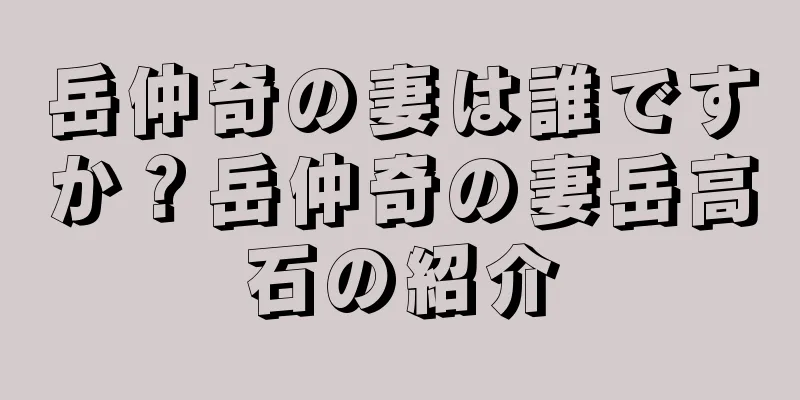 岳仲奇の妻は誰ですか？岳仲奇の妻岳高石の紹介