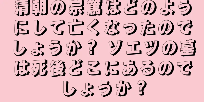 清朝の宗篤はどのようにして亡くなったのでしょうか？ ソエツの墓は死後どこにあるのでしょうか？