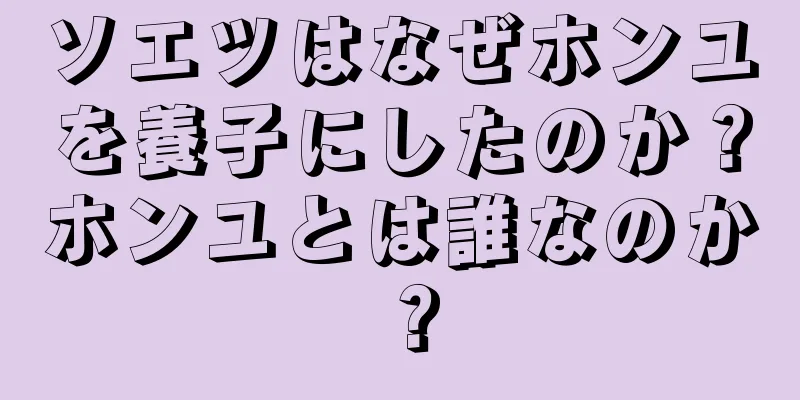 ソエツはなぜホンユを養子にしたのか？ホンユとは誰なのか？
