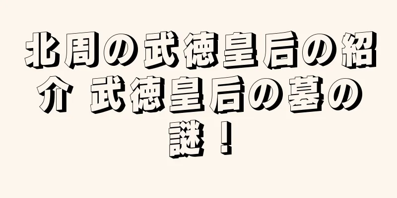 北周の武徳皇后の紹介 武徳皇后の墓の謎！