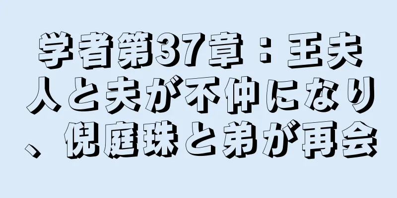 学者第37章：王夫人と夫が不仲になり、倪庭珠と弟が再会