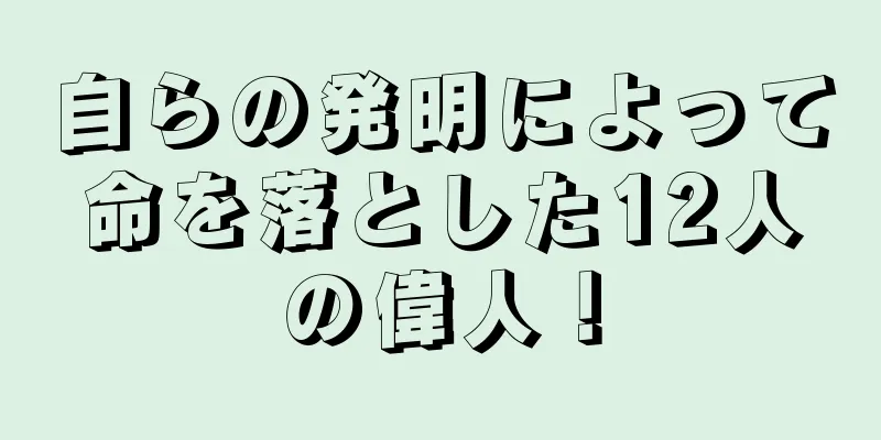 自らの発明によって命を落とした12人の偉人！