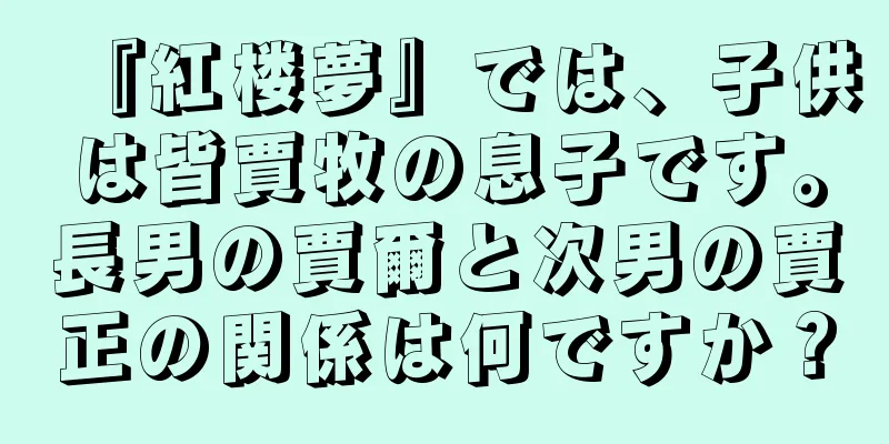 『紅楼夢』では、子供は皆賈牧の息子です。長男の賈爾と次男の賈正の関係は何ですか？