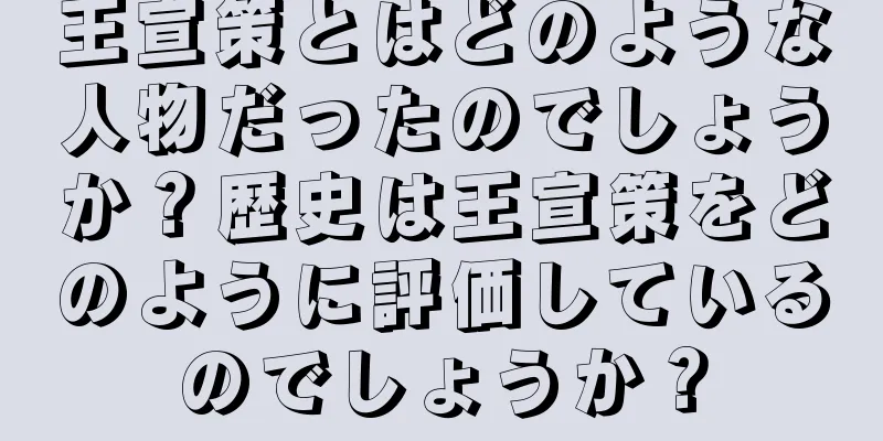 王宣策とはどのような人物だったのでしょうか？歴史は王宣策をどのように評価しているのでしょうか？