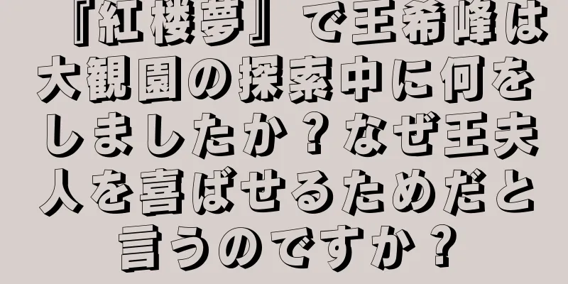 『紅楼夢』で王希峰は大観園の探索中に何をしましたか？なぜ王夫人を喜ばせるためだと言うのですか？
