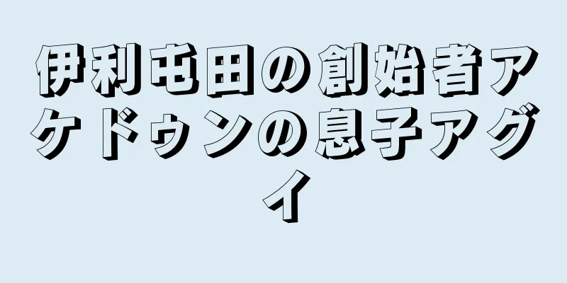 伊利屯田の創始者アケドゥンの息子アグイ