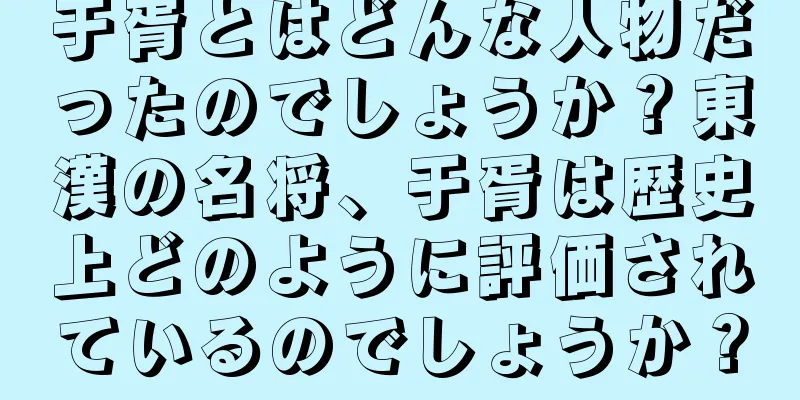 于胥とはどんな人物だったのでしょうか？東漢の名将、于胥は歴史上どのように評価されているのでしょうか？