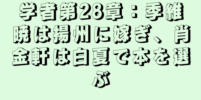学者第28章：季維暁は揚州に嫁ぎ、肖金軒は白夏で本を選ぶ