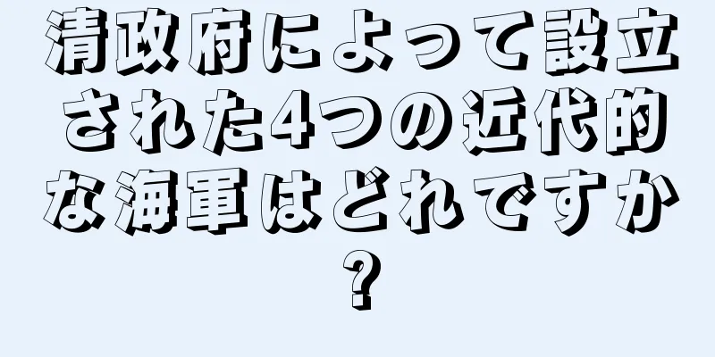 清政府によって設立された4つの近代的な海軍はどれですか?