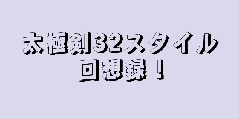 太極剣32スタイル回想録！