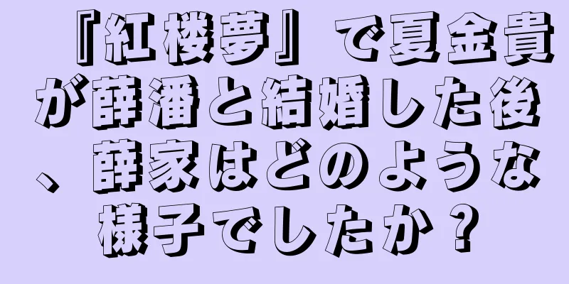 『紅楼夢』で夏金貴が薛潘と結婚した後、薛家はどのような様子でしたか？