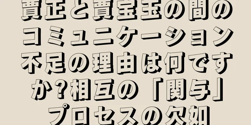 賈正と賈宝玉の間のコミュニケーション不足の理由は何ですか?相互の「関与」プロセスの欠如