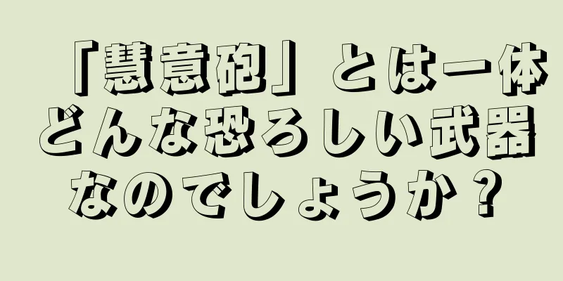 「慧意砲」とは一体どんな恐ろしい武器なのでしょうか？