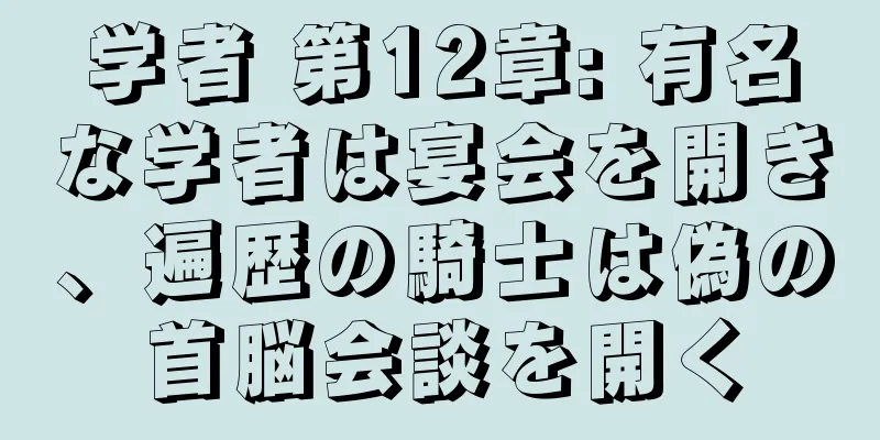 学者 第12章: 有名な学者は宴会を開き、遍歴の騎士は偽の首脳会談を開く