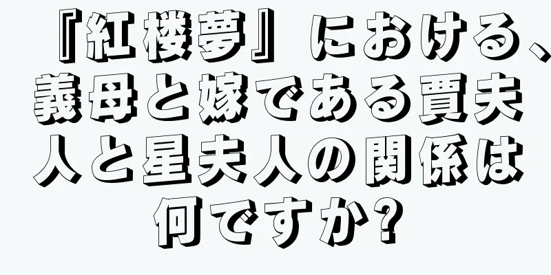 『紅楼夢』における、義母と嫁である賈夫人と星夫人の関係は何ですか?