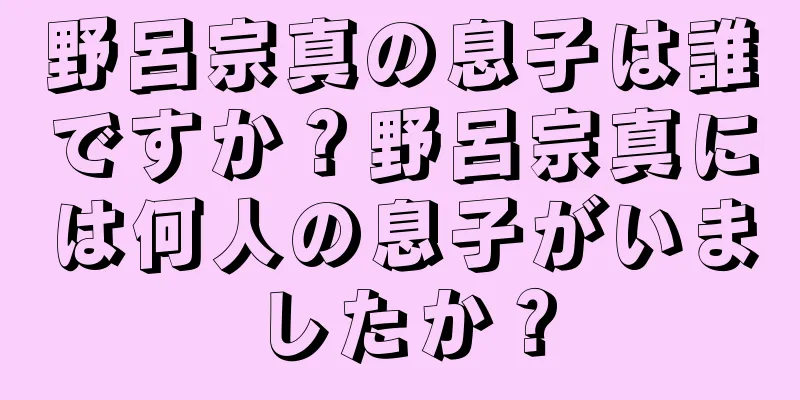 野呂宗真の息子は誰ですか？野呂宗真には何人の息子がいましたか？