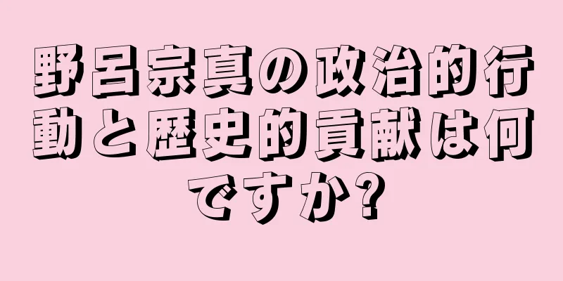 野呂宗真の政治的行動と歴史的貢献は何ですか?